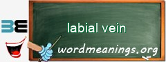 WordMeaning blackboard for labial vein